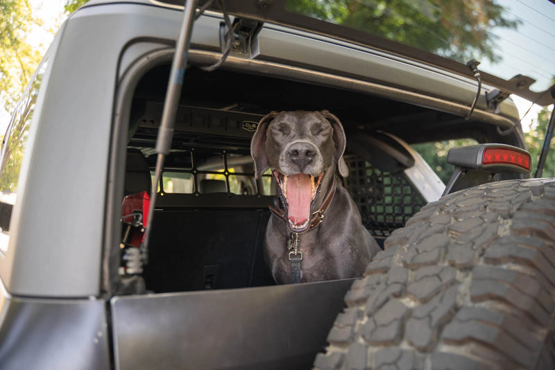 Load image into Gallery viewer, DV8 Dog Barrier - 2021+ Ford Bronco - MPBR-10
